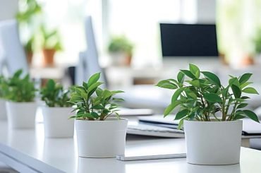 Keep Your Alberta Home’s Air Fresh This Summer with These Simple Steps